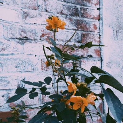 半岛棋牌游戏截图